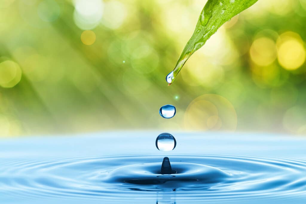 What is Alka Eco Liquification