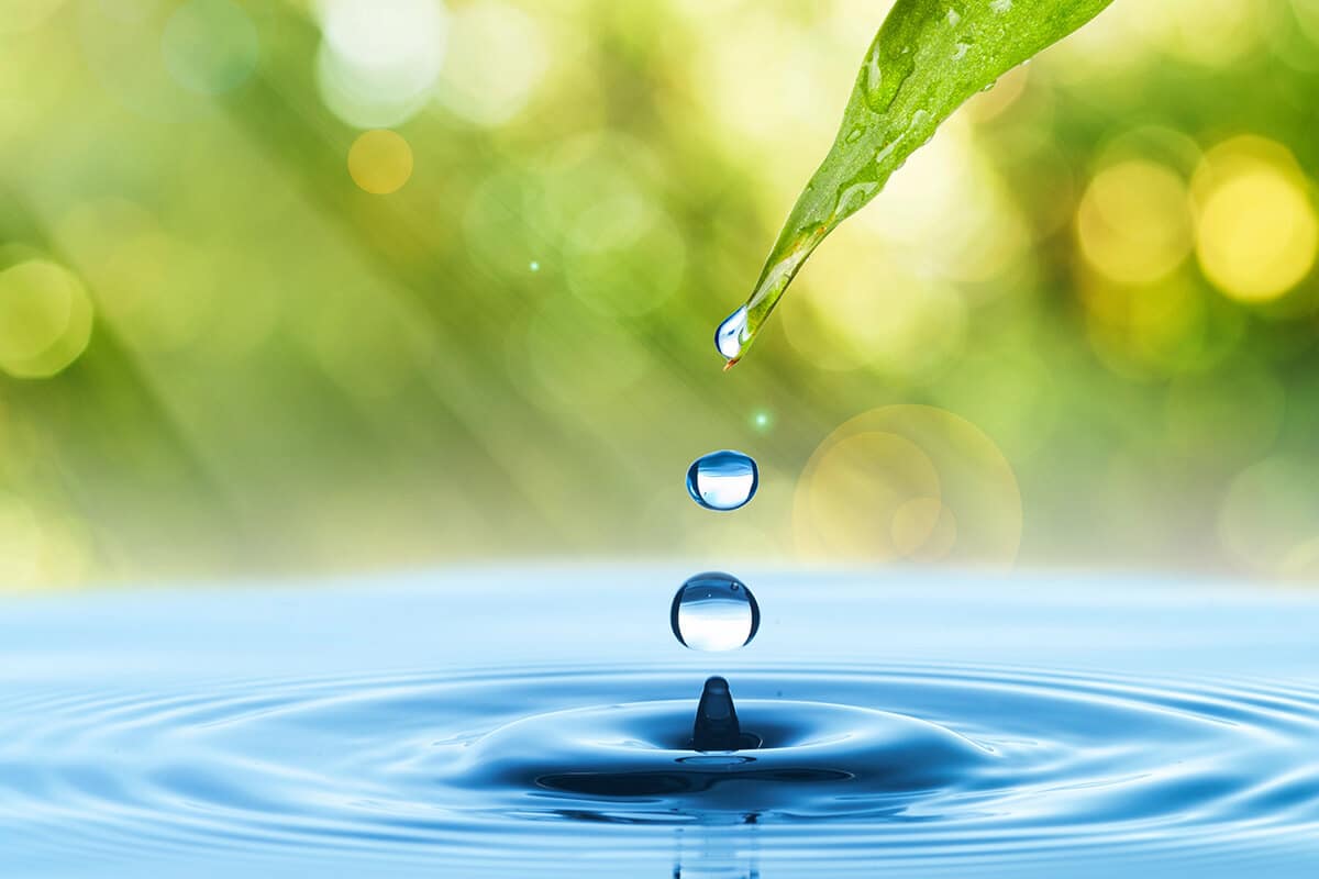 What is Alka Eco Liquification