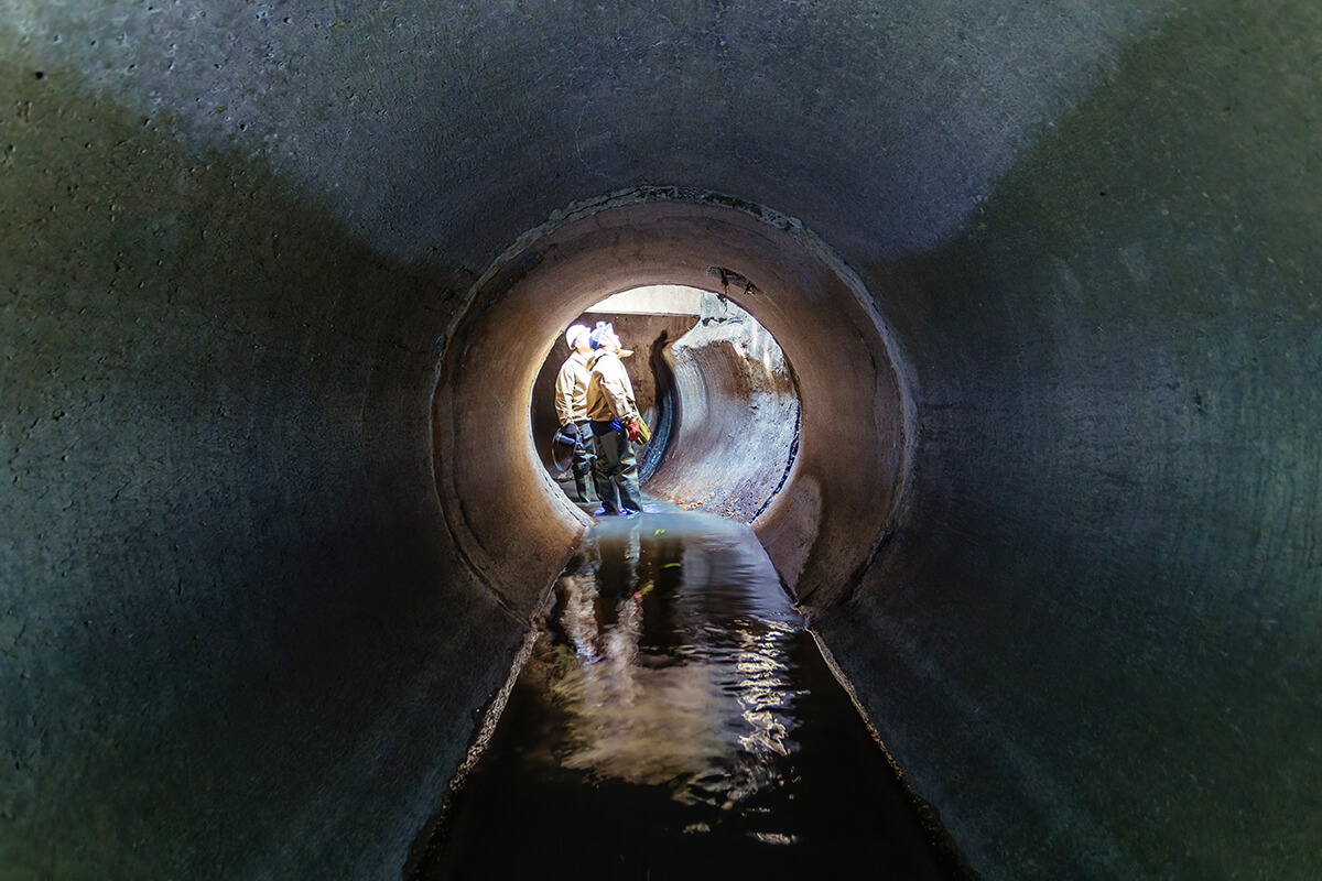 Antwerp wastewater contains highest concentration of cocaine in Europe
